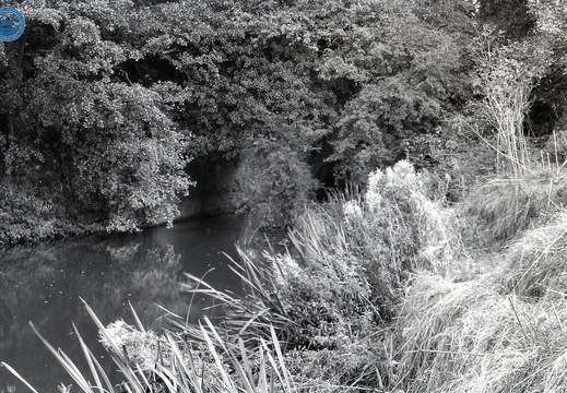 048657E (201 visits) Image credit: RCHS. 1964, Marden aqueduct, Stanley. 048657E