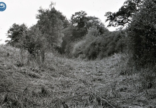 048646E (237 visits) Image credit: RCHS. 1964, Bed of canal between Chaddington and Summit locks. 048646E