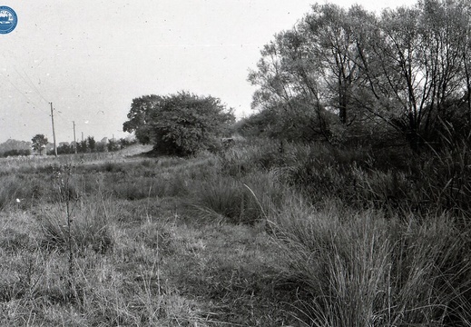 048642E (308 visits) Image credit: RCHS. 1964, Looking towards Chaddington Lock. 048642E