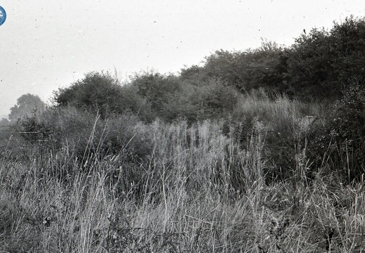 048667E (239 visits) Image credit: RCHS. 1964, Bottom Lock, Wootton Basset. 048667E