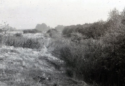 048675E (148 visits) Image credit: RCHS. 1964, View East from Longcote Top Lock. 048675E