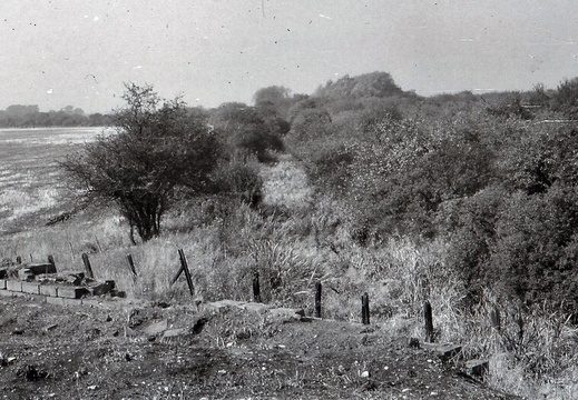 048674E (117 visits) Image credit: RCHS. 1964, Looking W towards Longcote locks. 048674E