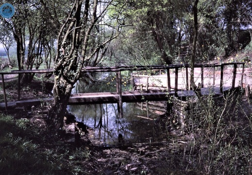 074653E (162 visits) Image credit: RCHS. 1987, North Wilts Canal. near Moreden, Swindon. Preserved section. 074653E