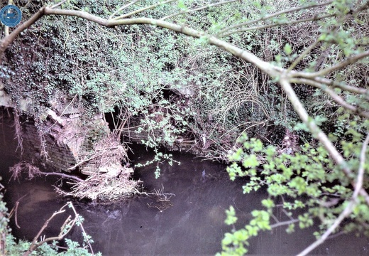 074632E (177 visits) Image credit: RCHS. c1980's, Bremhill Stanley Aqueduct over the river Marden
074632E