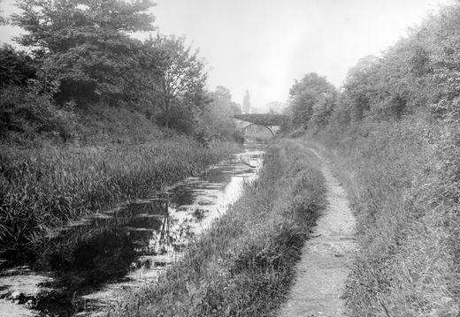 Tom Reveley WANVD: 2019.12.6