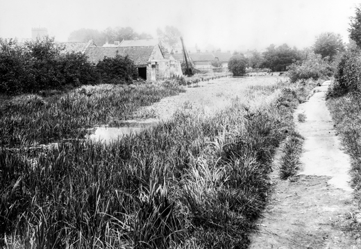 Tom Reveley WANVD: 2019.12.8.1