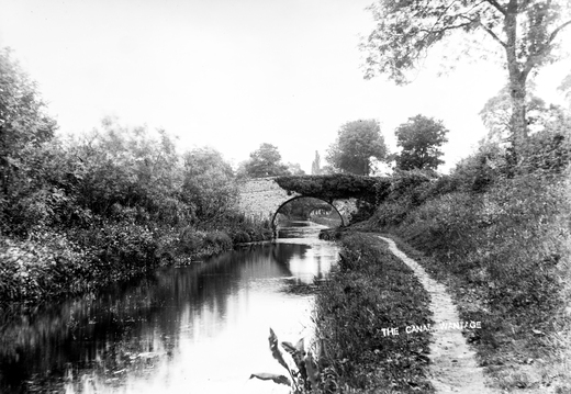 Tom Reveley WANVD: 2019.12.66