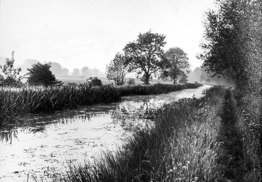 Tom Reveley WANVD: 2019.12.24