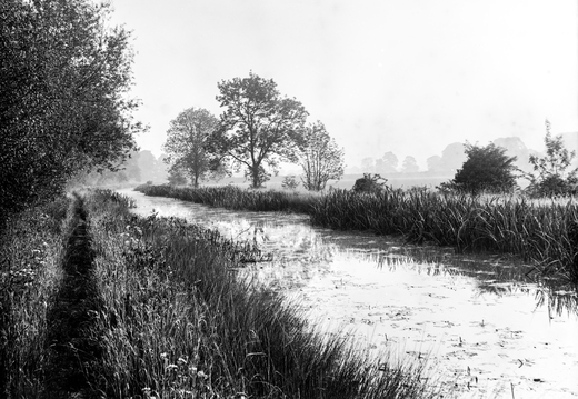 Tom Reveley WANVD: 2019.12.25