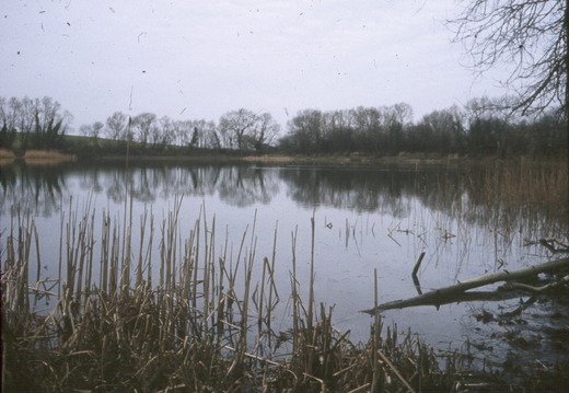 Tockenham reservoir c1980