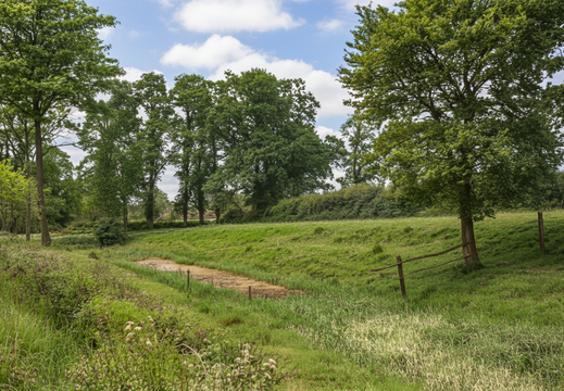 5.15.1 North Wilts (111n)