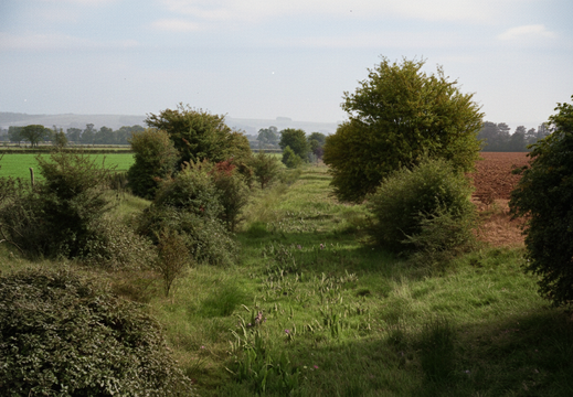 3.13.1 Longcot Branch (206n)