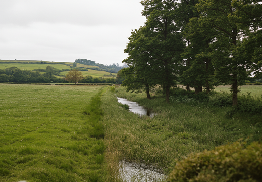 6.16.2 Foxham (630n)