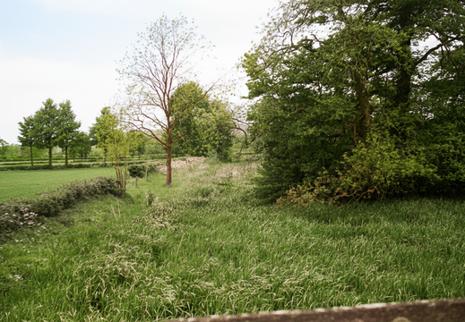 6.16.1 Foxham (629n)