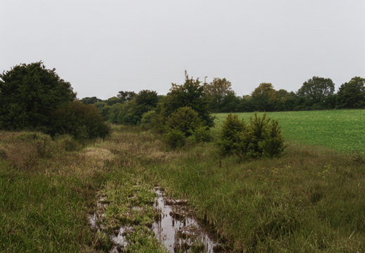 5.19.5 North Wilts (381n)