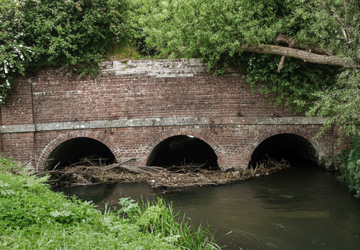 5.17 North Wilts (466n)