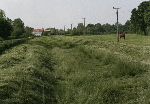5.13.1 North Wilts (423n)