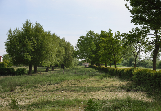 5.09 North Wilts (422n)
