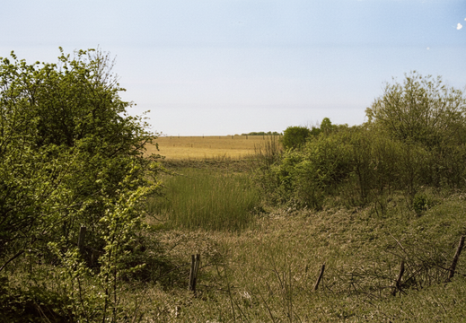 1.05.2 Abingdon (263n)