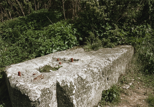 1.05.3 Abingdon (264n)