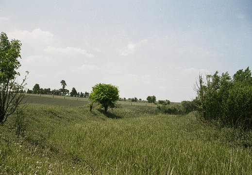 1.05.4 Abingdon (275n)