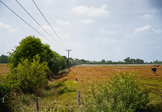 1.07.2 East Vale (277n)