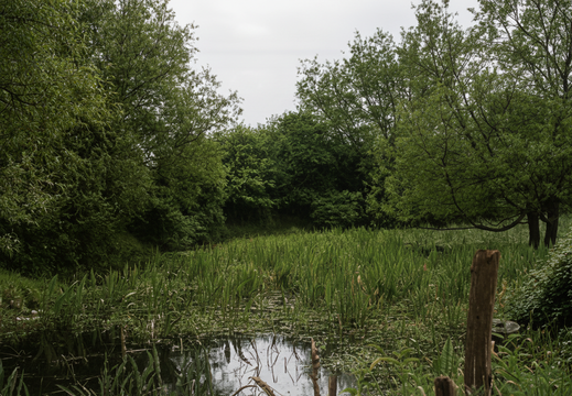 1.09 East Vale (278n)