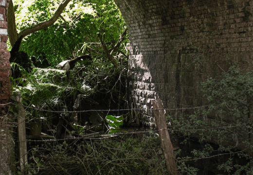 1.10.3 East Vale (267n)