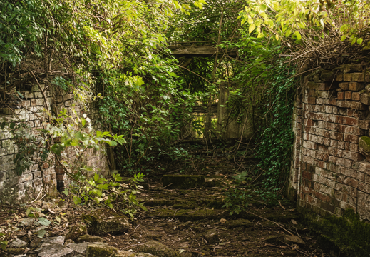 1.11 East Vale (474n)