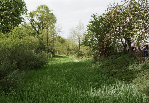 1.12.1 East Vale (268n)