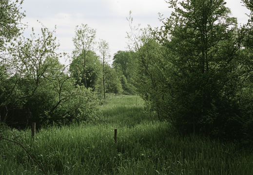 1.12.2 East Vale (269n)