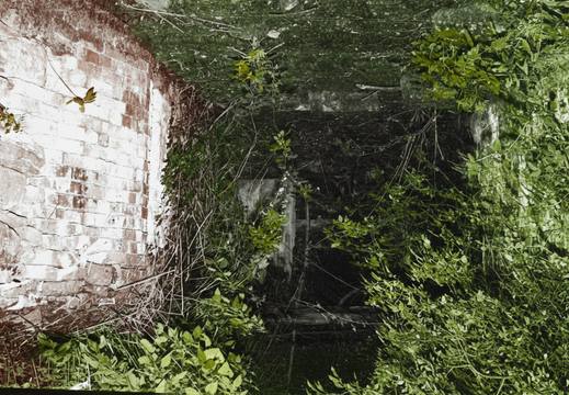 1.13.1 East Vale (539n)