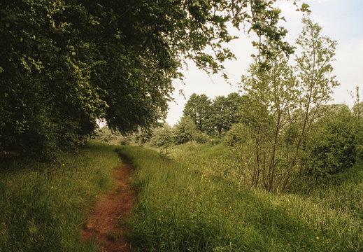 1.13.2 East Vale (279n)