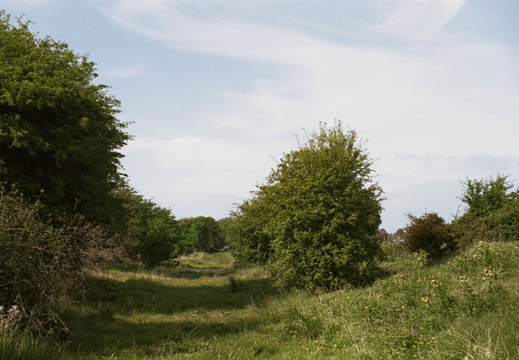 1.15.1 East Vale (329n)