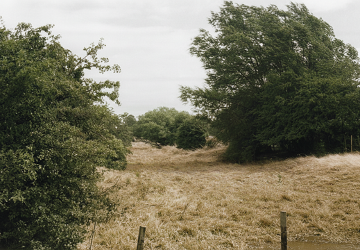 1.16 East Vale (478n)