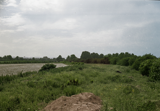 1.17 East Vale (283n)