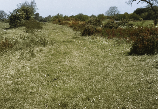 2.3.1 Wantage Branch (352n)