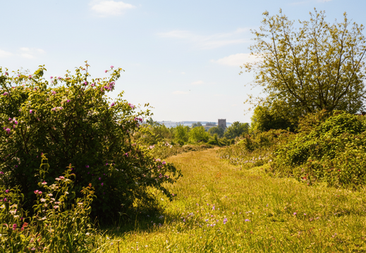 2.3.2 Wantage Branch (353n)