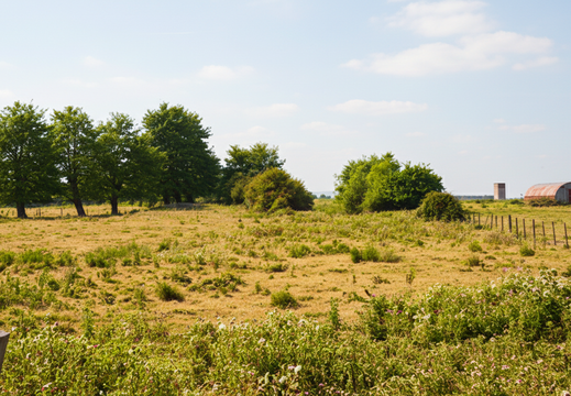 3.01.1 East Vale (330n)