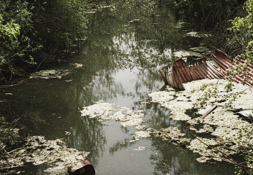 3.01.2 East Vale (355n)