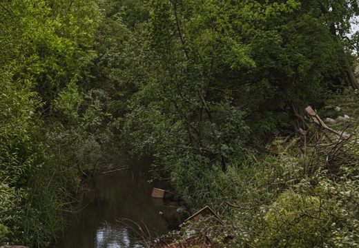 3.02.1 East Vale (484n)