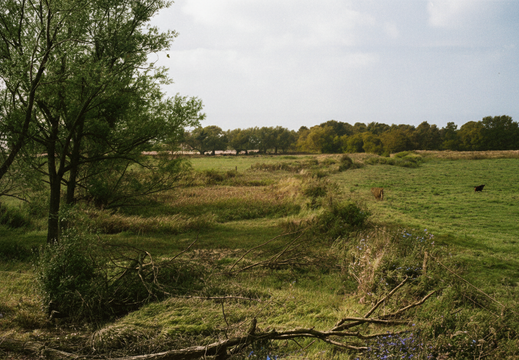 3.08.1 East Vale (331n)