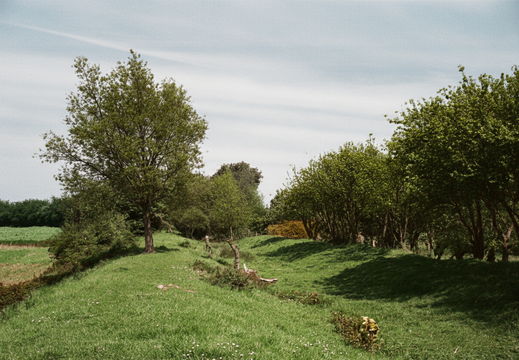 3.10.1 West Vale (358n)