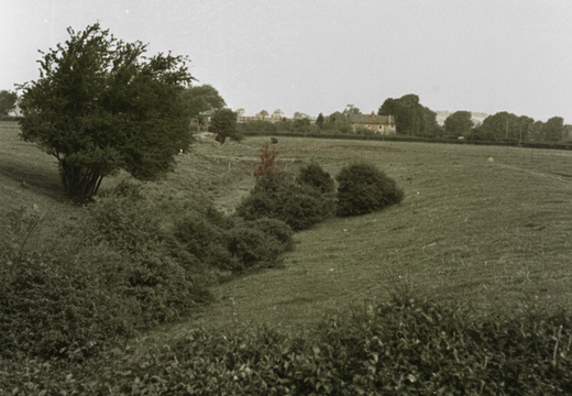 3.13.3 Longcot Branch (537n