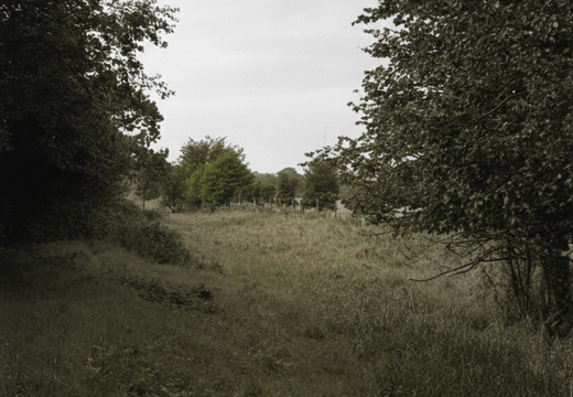 3.14.1 West Vale 07 (536n)