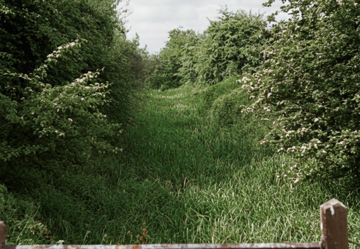 3.15 West Vale (361n)