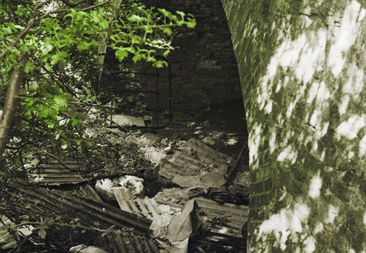 3.16 West Vale (495n)