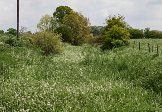 3.18.1 West Vale (362n)