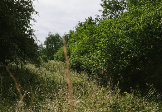 3.18.4 West Vale (499n)