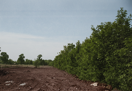 3.21.1 Swindon (343n)